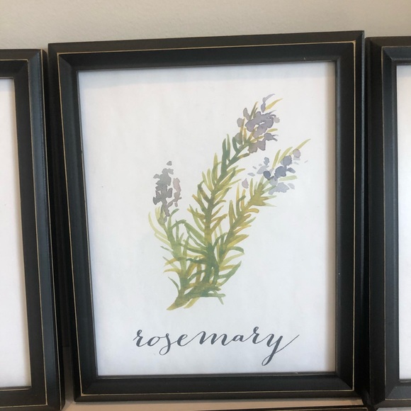 Set of 4 8x10 Herb Prints - Picture 3 of 7